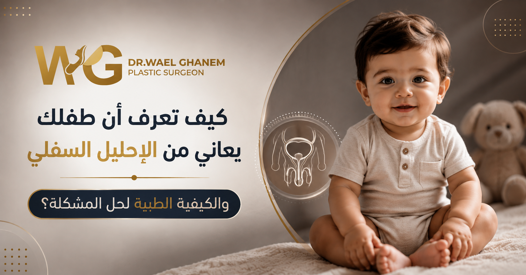 الاحليل السفلي 